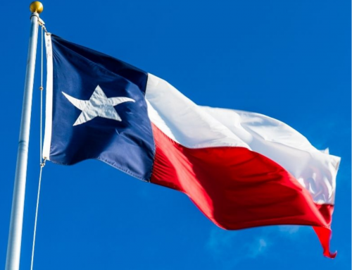 Texas Veterans Needs Assessment